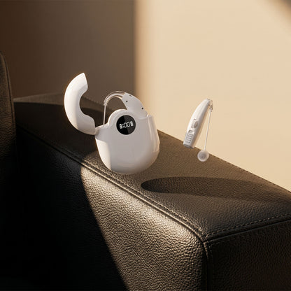 PowerBTE Rechargeable Hearing Aids with LED Charging Case